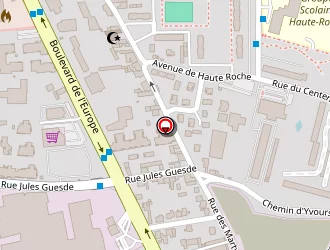 Carte de Station Esso Express à Pierre-bénite