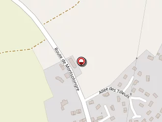 Carte de Borg Gérard à Satolas-et-bonce