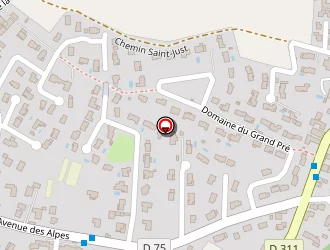 Carte de Saidani Samir à Messimy