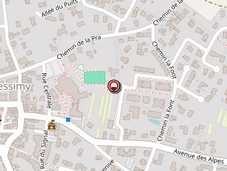 Carte de Taxi Jullien à Messimy