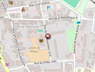 Carte de Hamani Yazid à Pierre-bénite