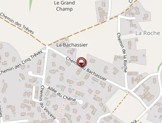 Carte de Village Du Monde Diffusion à Messimy