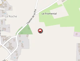 Carte de Taxi Franck à Messimy