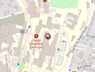 Carte de Grambert Elsa à Pierre-bénite