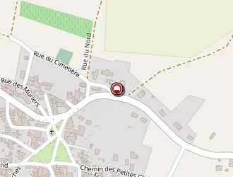 Carte de Boudier Eric à Saint-julien-de-coppel