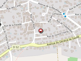 Carte de Le Borgne Patrick à Roche-blanche (la)