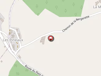 Carte de Chassaing Armelle-anne à Bongheat