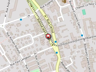 Carte de Gruffaz Aurélie à Vénissieux