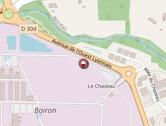 Carte de Bouvier Eddy à Messimy