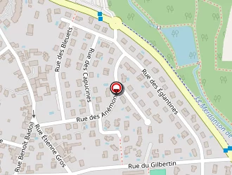 Carte de Anis à Chaponost