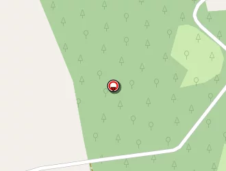 Carte de Andanson Daniel à Lamazière-haute