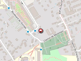 Carte de Ameuso à Oullins