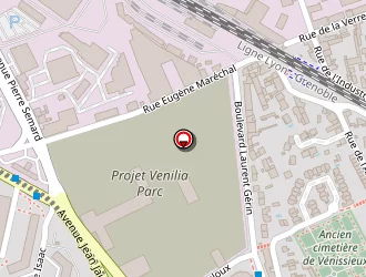 Carte de Aliouche Anés à Vénissieux