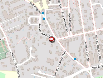 Carte de Chavant Mary-hélène à Pierre-bénite