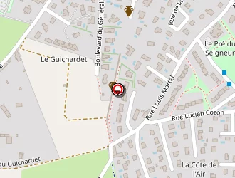 Carte de Geiger Jean-jacques à Chaponost