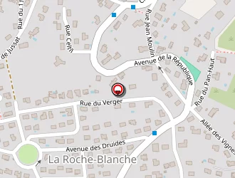 Carte de Sirami Jean à Roche-blanche (la)