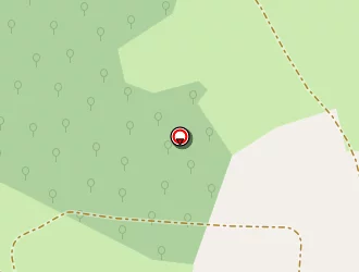 Carte de Fournier Pierre à Montmorin