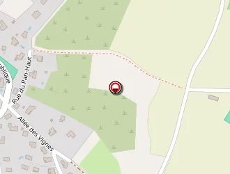 Carte de Stade à Roche-blanche (la)