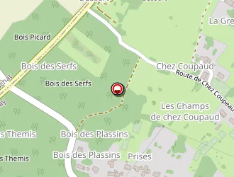 Carte de Covela Rodriguez Benoît à Varzay