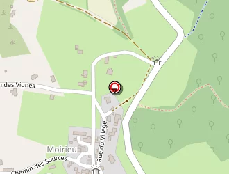 Carte de Mairie à Villemoirieu