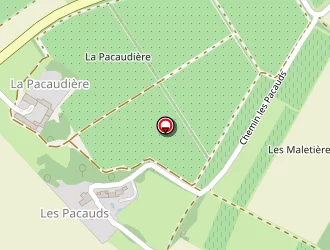 Carte de Rance Didier à Saintes