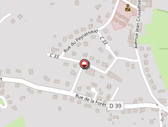 Carte de Conseil Général à Châteauneuf-la-forêt