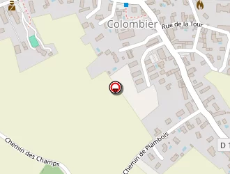 Carte de Cléma à Colombier-saugnieu