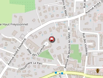 Carte de Pizza Miguel à Chaponost