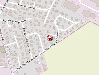 Carte de Naas à Saint-priest