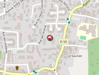 Carte de Declas Michel à Chaponost