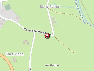 Carte de Thomaron Alain à Halles (les)