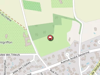 Carte de Immo Cedre à Chaponost