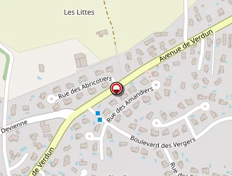 Carte de Baudin Philippe à Chaponost