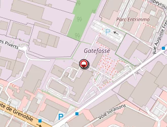 Carte de Gattefosse à Saint-priest