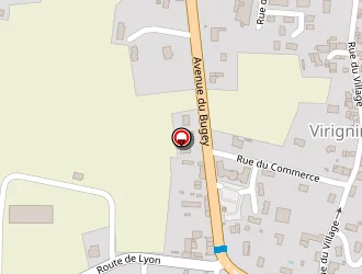 Carte de Beguin Malika à Virignin