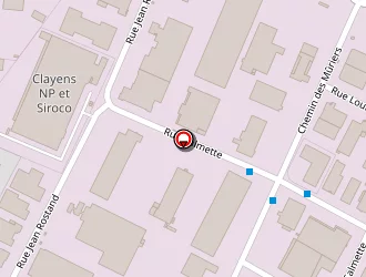 Carte de Mister-auto.com à Genas