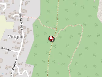 Carte de Anna Roy Ventriloque à Virignin