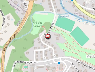 Carte de Surrel Georges à Oullins