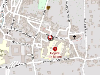 Carte de Coiffure Canine à Billom