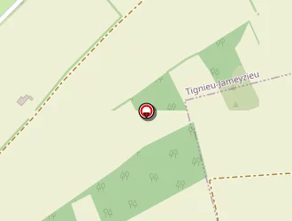 Carte de I.p.m. Industrie à Tignieu-jameyzieu