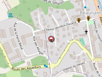 Carte de Metallyon à Chaponost