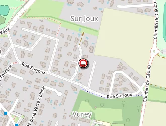 Carte de Mandon Hervé à Genas