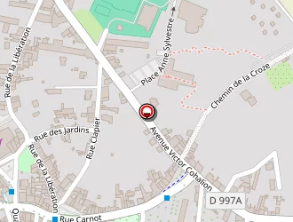 Carte de Queyriaux Elisabeth à Billom