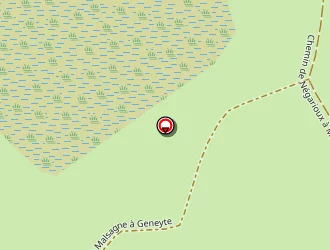 Carte de Saugeras Michel à Peyrelevade