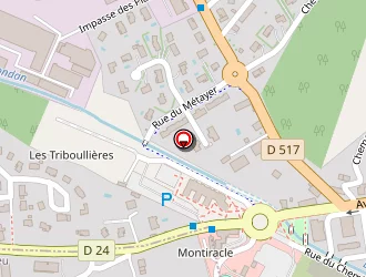 Carte de Societe Moobifun à Villemoirieu