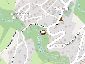 Carte de Rjce à Marthod