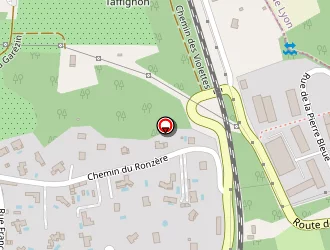 Carte de Ags Energies à Chaponost