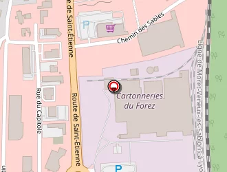 Carte de Gamm Vert Eurea Coop à Feurs