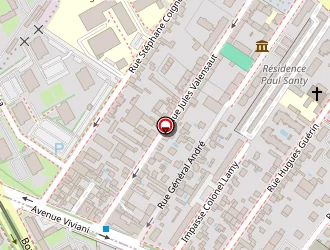 Carte de Ferra Alain à Lyon