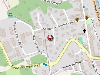 Carte de Garage Gray à Chaponost